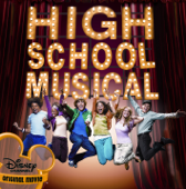 High School Musical (An Original Walt Disney Soundtrack) - Vanessa Hudgens, Zac Efron, Ashley Tisdale, Lucas Gabreel & Drew Seeley