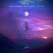 Into You (feat. Sinead Harnett) - Sonny Fodera