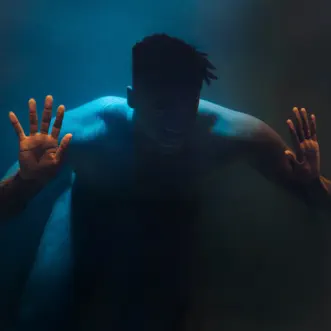 Doomed by Moses Sumney song reviws