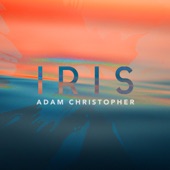 Iris (Acoustic) artwork