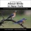 50 Things to Know About Birds in New York: Encountering Beautiful Species Around the Empire State (50 Things to Know About Birds - United States, Book 4) (Unabridged)