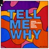 Tell Me Why (feat. Sarah Reeves) - Single