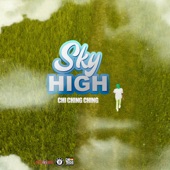 Sky High artwork