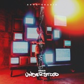 Miss Understood artwork