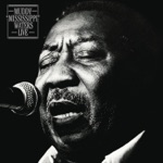 Got My Mojo Working by Muddy Waters