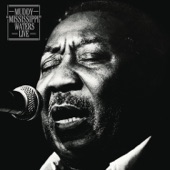 Muddy Waters - Champagne & Reefer (Live)