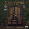 Time Travel - Damian "Jr. Gong" Marley
