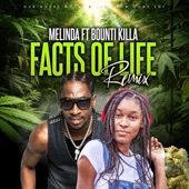 Facts of Life (feat. Bounty Killer) [Remix] artwork