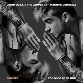 Too Good to Be True (feat. Machine Gun Kelly) [Remixes] - Single by Danny Avila & The Vamps album reviews, ratings, credits