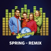 Spring (Remix) artwork