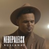 Nebepaleisk - Single