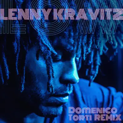 Low (Domenico Torti Remix) - Single - Lenny Kravitz