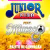 Palito de Guayacan - Single album lyrics, reviews, download