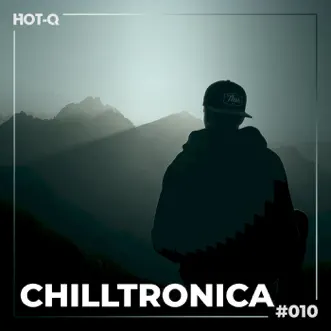 Chilltronica 010 by Various Artists album reviews, ratings, credits