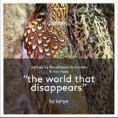 The World That Disappears artwork