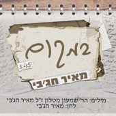 במקום - ווקאלי artwork