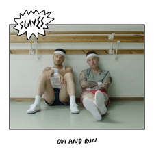 Cut And Run artwork