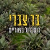 רוקנ'רול בצהריים - Single