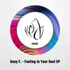 Feeling in Your Soul - Single album lyrics, reviews, download