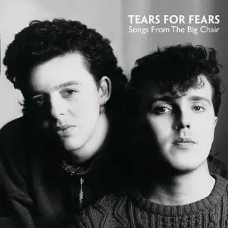 Mothers Talk by Tears for Fears song reviws