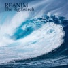 REANIM - Traveller's Tale
