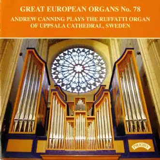 Satyagraha: Conclusion (Arr. M. Riesman for Organ) by Andrew Canning song reviws