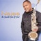 Just To Fall In Love (feat. Phil Perry) - Najee lyrics
