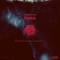 Dinea - Hobin Rude lyrics
