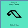 V.I.B.E / Vortex album lyrics, reviews, download
