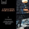 Aurora Orchestra & Nicholas Collon - Fantasia on a Theme by Thomas Tallis