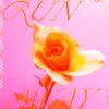 Runaway (Plant Operator Remix) [feat. Güs] - Single album lyrics, reviews, download