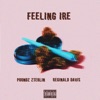 Feeling Irie - Single