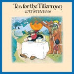Cat Stevens - On the Road to Find Out