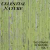Celestial Nature - The Guards of Nature, Vol. 7 album lyrics, reviews, download