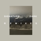 Signature Dark Remixes artwork