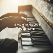 Spontaneous Worship (Blessing, Here Again) [Instrumental version] artwork