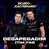 Desapegadim (Tim Tim) - Single