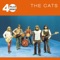 Cats - Dreams