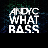 What Bass artwork