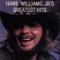 Family Tradition - Hank Williams, Jr. lyrics