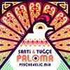 Paloma (Psychedelic Mix) - Single