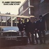 Shake Some Action  by The Flamin Groovies