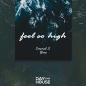 Feel so High artwork