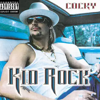 Midnight Train to Memphis by Kid Rock song reviws