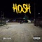 Hosh - Lord Leak lyrics