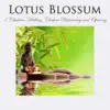 Stream & download Lotus Blossom: 7 Chakras Healing, Chakra Balancing and Opening