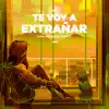 Stream & download Te Voy a Extrañar (Ivan Miranda & Poloche Remix) [feat. Noiztep, Cabeatslo & Diaaper] - Single