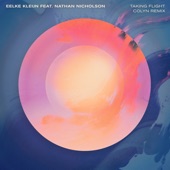 Taking Flight (feat. Nathan Nicholson) [Colyn Extended Remix] artwork