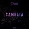 Camelia - Doumëa lyrics