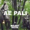 Ae Pali (feat. Mike Ride) - Djexon lyrics